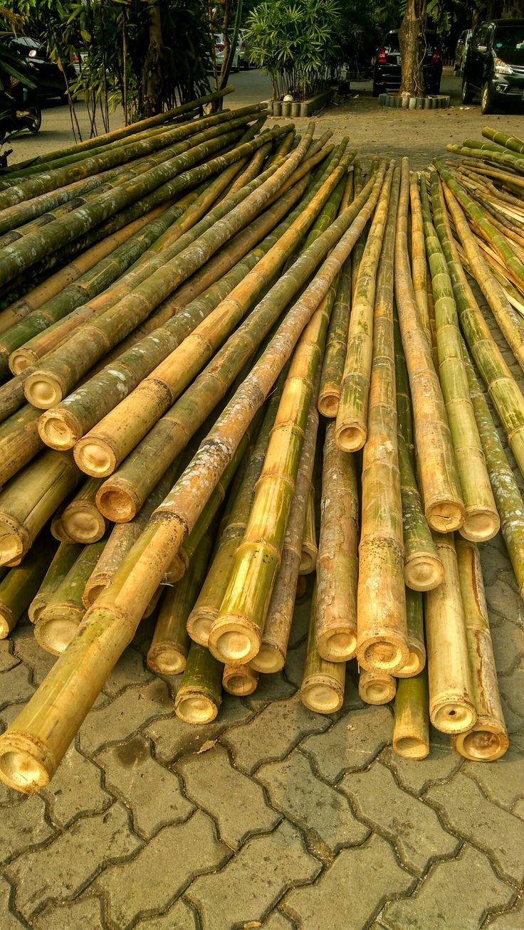 bambu